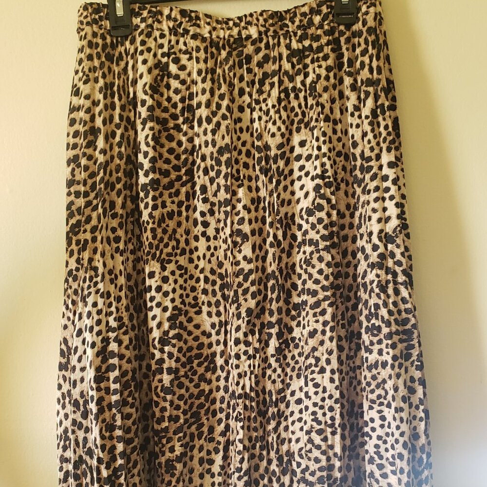 H&M Long Pleat Skirt